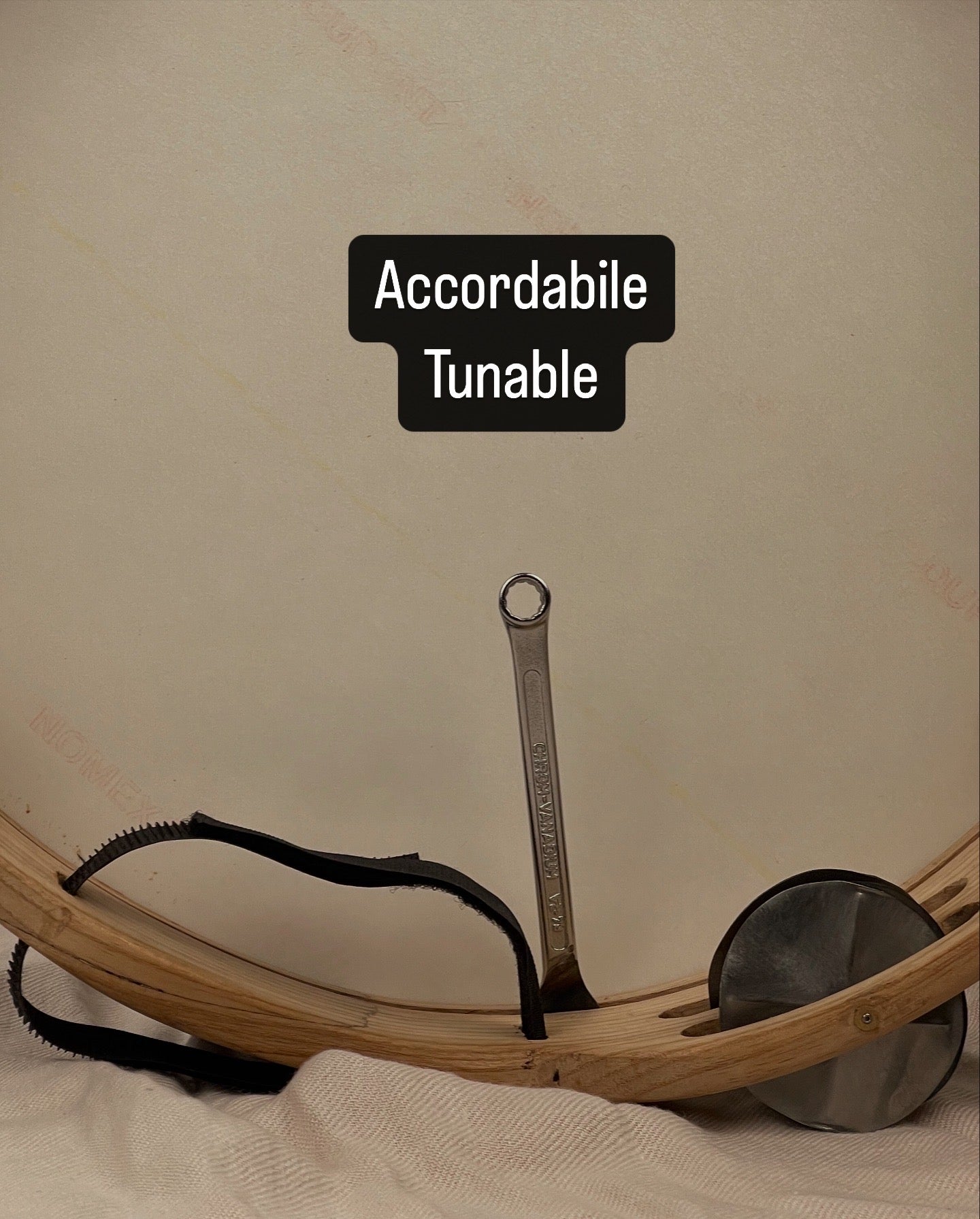 Detail of white Mylar head and tuning system