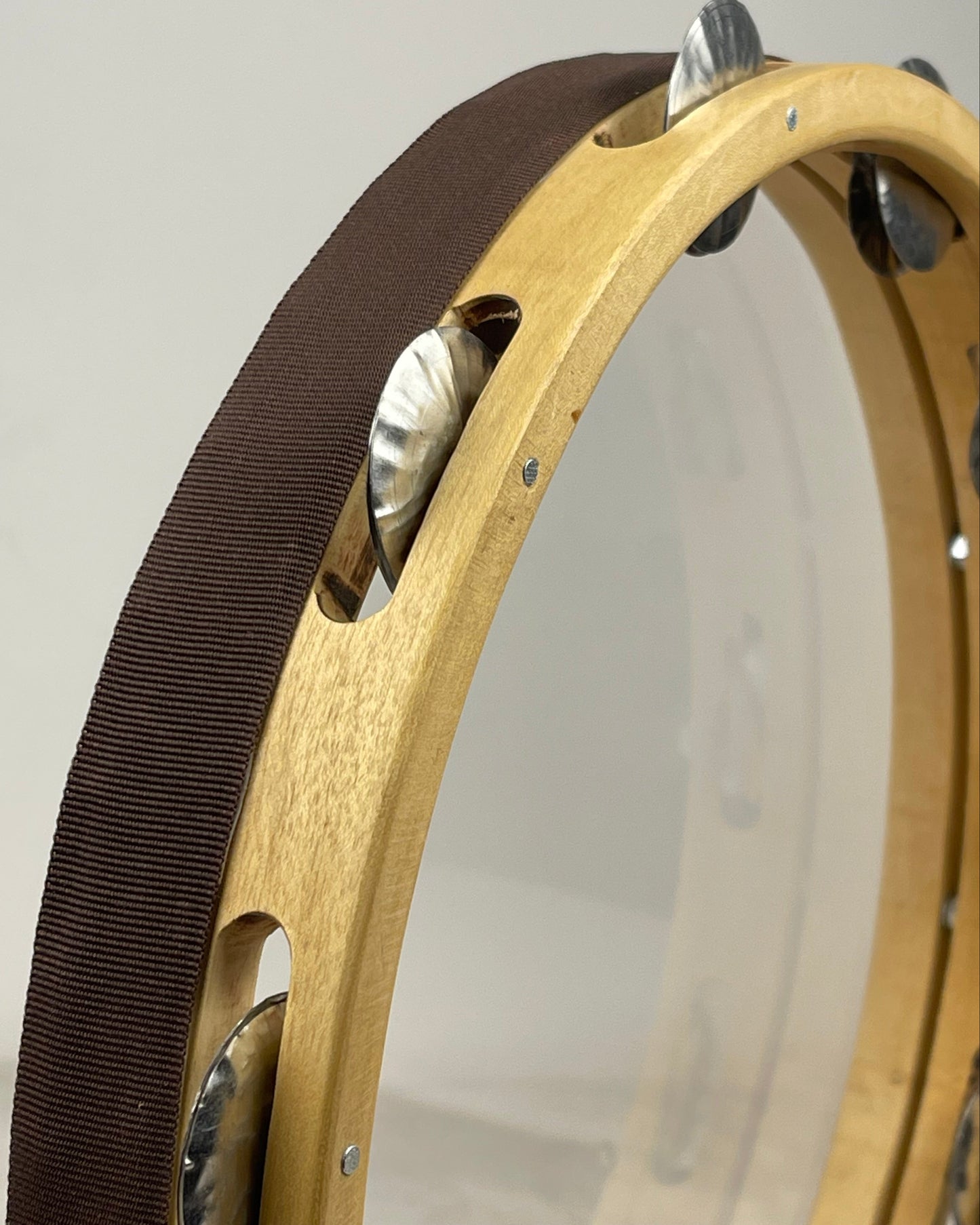 Dettaglio pelle trasparente e sonagli del tamburello Fruscio