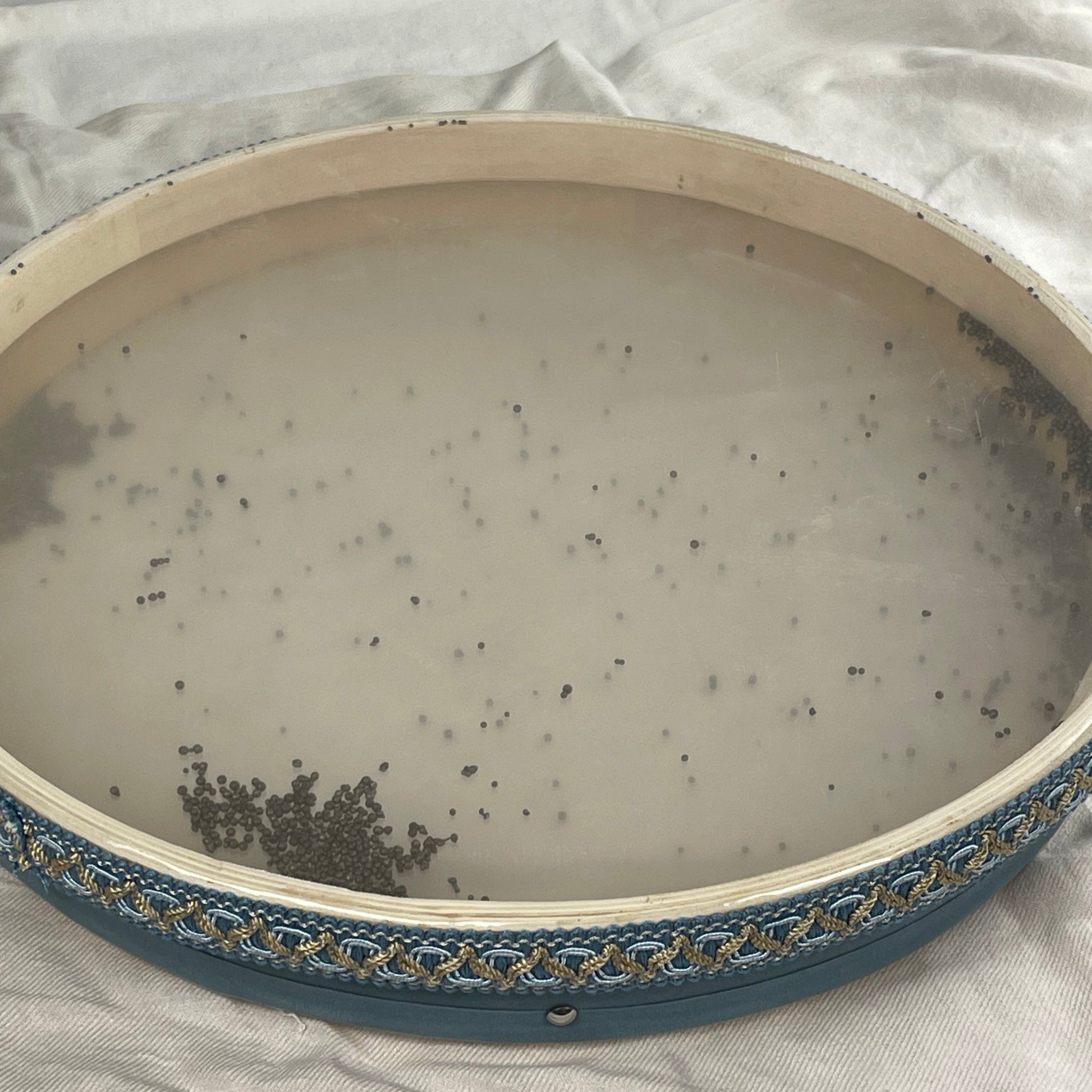 Professional ocean drum with transparent head – QuintoLab