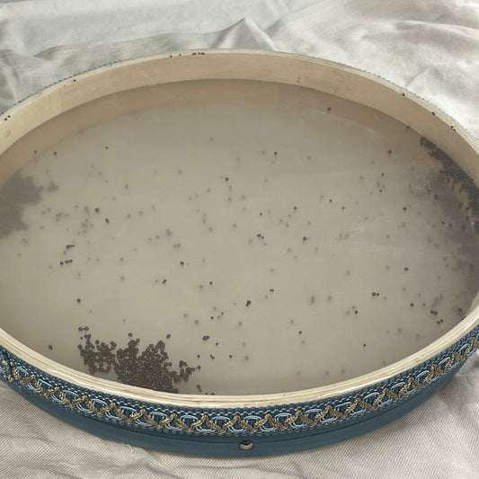 Professional ocean drum with transparent head – QuintoLab