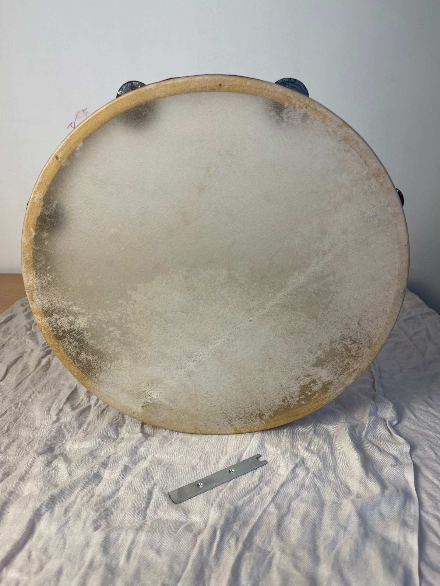 tamburello da pizzica gelso